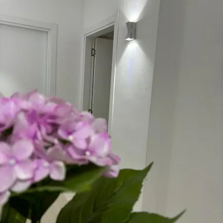 Center, Selvia White Apartamento
