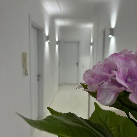 Center, Selvia White Apartamento *