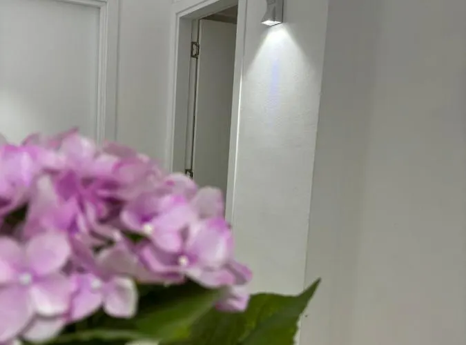 Center, Selvia White Appartamento